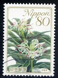 [Flowers, tip HWK]