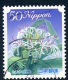 [Flowers, type HWF]