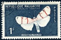 [Butterflies and Agricultural Products, tyyppi KD]