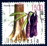[Flora and Fauna, type CMF]