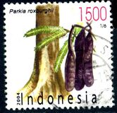 [Flora and Fauna, type CMF]