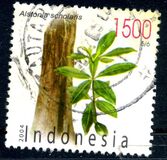 [Flora and Fauna, type CMJ]