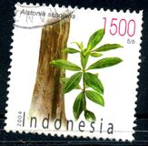 [Flora and Fauna, type CMJ]