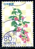 [Flowers, 類型 IQC]