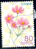 [Flowers, 類型 IQB]