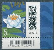 [Мир писем, тип DQN]