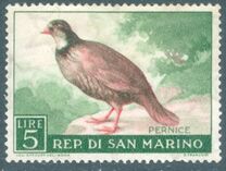 [Birds, type LK]