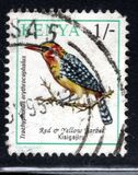 [Birds, Вид VB]