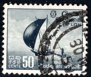 [Local Motifs, тып CQ]