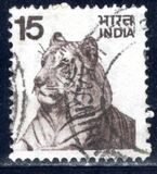 [Local Motifs, tip QO]