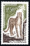 [Animals, type CN]