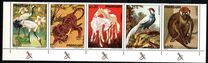 [Animal Paintings, Tipi WWE]
