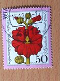 [Charity Stamps - Flowers, type WM]