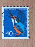 [Youth Hostel - Birds, type HW]