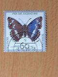 [Youth Hostel - Butterflies, type AWL]