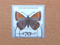 [Youth Hostel - Butterflies, type AWM]