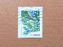 [Christmas - USA Forever - Self-Adhesive Stamps (44 cents), type FTB]