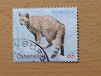 [Animal Protection - Self-Adhesive, type CTL]