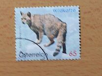 [Animal Protection - Self-Adhesive, type CTL]