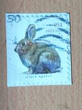 [Brush Rabbit, type ILA]