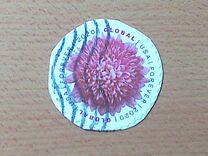 [Flowers - Chrysanthemum, प्रकार IHU]