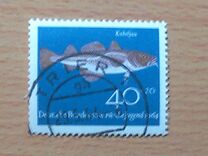 [Youth Health - Fish, type IG]