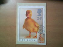 [The 150th Anniversary of the Royal Society for Prevention of Cruelty to Animals, type AHP]