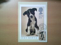 [The 150th Anniversary of the Royal Society for Prevention of Cruelty to Animals, type AHQ]