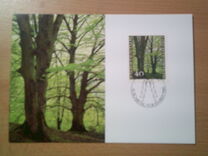 [The Four Seasons of the Forest, тып ZK]