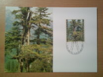 [The Four Seasons of the Forest, тып ZL]