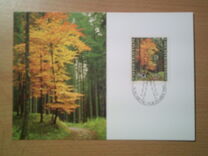 [The Four Seasons of the Forest, тып ZM]