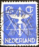 [World Peace, Tipi CT]