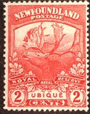 [Newfoundland Troops in the World War I, type CA]