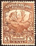 [Newfoundland Troops in the World War I, type BZ1]