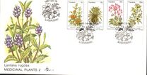[Medicinal Plants, tip CK]