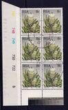 [Flora - Protea Plants, type PN]