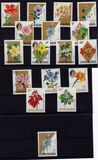 [Flowers - Normal Paper, tip DX]