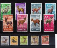 [Decimal Currency - Antelopes, タイプ CX]
