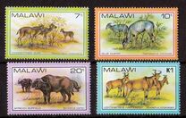 [Wildlife, Tip KE]