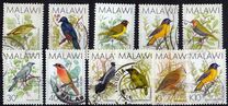 [Birds, type PT]