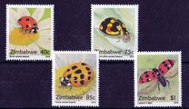 [Ladybirds of Zimbabwe, type AFO]