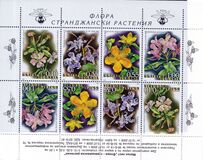 [Mountain Flowers, type FSD]