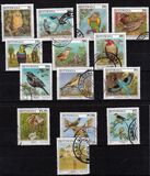 [Birds, tegund XE]