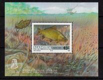 [Freshwater Angling, տեսակ BC1]