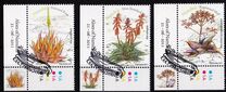 [Plants - Aloes of Namibia, type AAA]