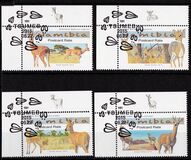 [Small Antelopes of Namibia, 类型 AEV]