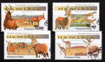 [Medium-sized Antelopes of Namibia, වර්ගය ADK]
