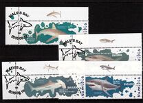 [Marine Life - Sharks, Tip AFE]