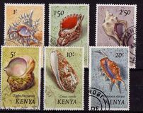 [Seashells, type AS]