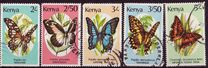 [Butterflies, Вид PE]